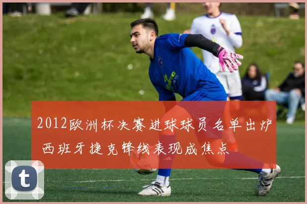 2012欧洲杯决赛进球球员名单出炉 西班牙捷克锋线表现成焦点