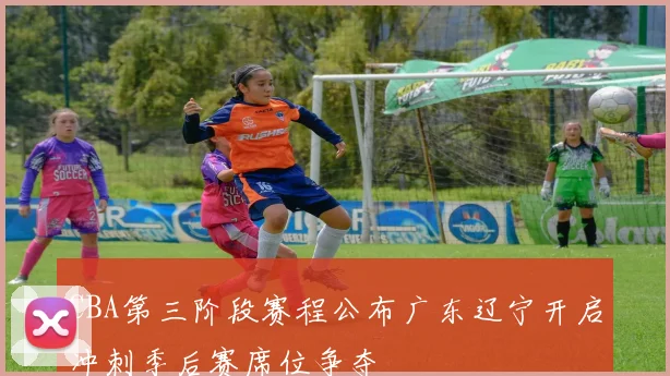 CBA第三阶段赛程公布广东辽宁开启冲刺季后赛席位争夺